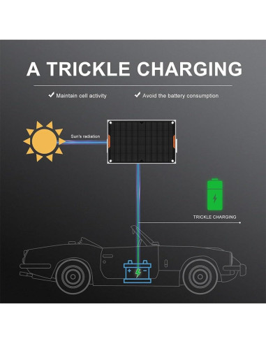 Cargador Solar Hoysicy 10W 12V con Clip y Adaptador