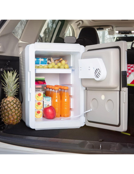 Enfriador Portátil Koolatron P65 AZ 31L 12V para Auto