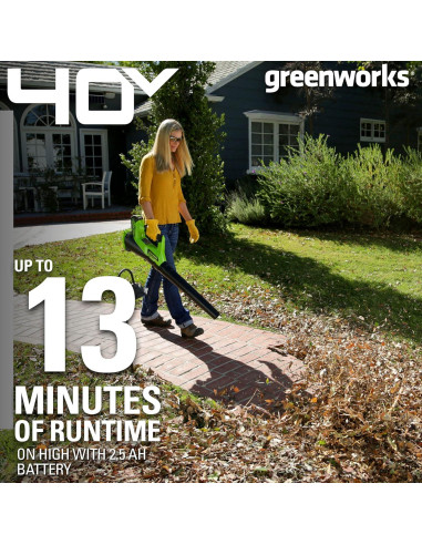 Soplador Axial Inalámbrico Greenworks 40V 2.5Ah 390 CFM