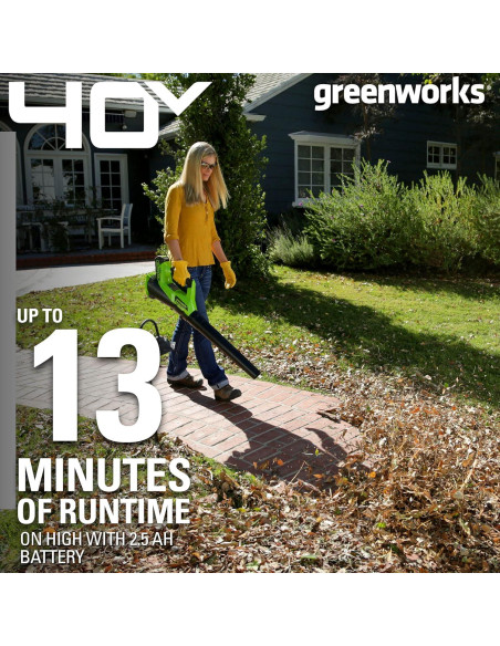 Soplador Axial Inalámbrico Greenworks 40V 2.5Ah 390 CFM