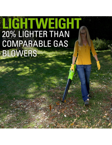 Soplador Axial Inalámbrico Greenworks 40V 2.5Ah 390 CFM