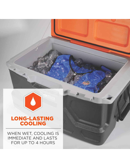 Chaleco Refrigerante Ergodyne Chill-Its 6667 PVA Azul Grande