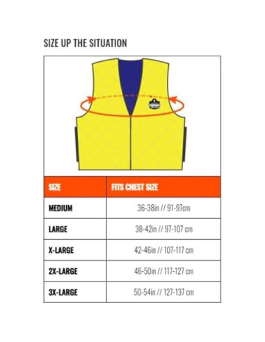 Chaleco Refrigerante Ergodyne Chill-Its 6667 PVA Azul Grande