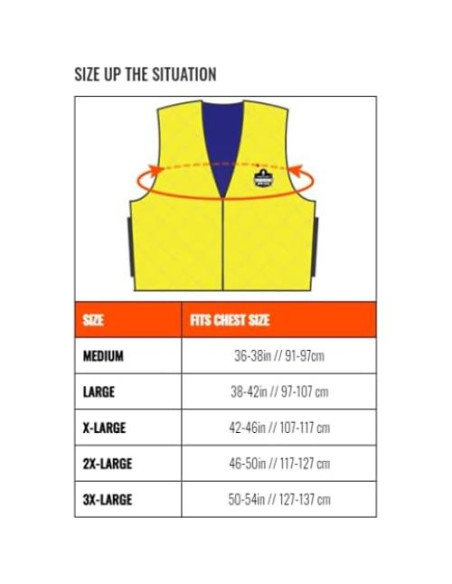 Chaleco Refrigerante Ergodyne Chill-Its 6667 PVA Azul Grande