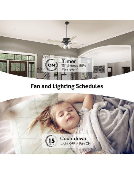 Control de Ventilador de Techo Inteligente TREATLIFE WiFi 2.4GHz