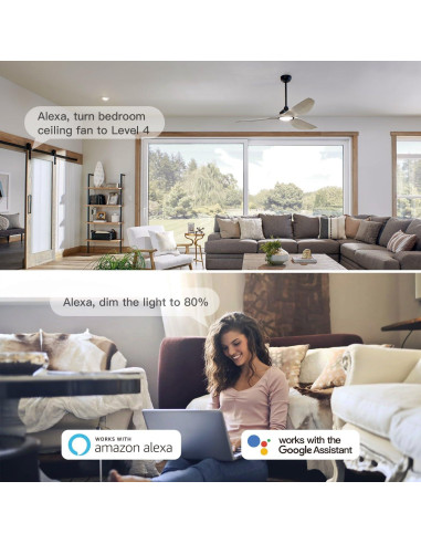 Control de Ventilador de Techo Inteligente TREATLIFE WiFi 2.4GHz