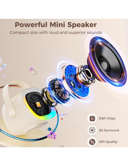 Mini Máquina de Karaoke HWWR D28-T con 2 Micrófonos y Luces