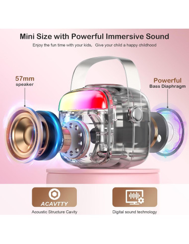 Mini Máquina de Karaoke HWWR Rosa con 2 Micrófonos Inalámbricos