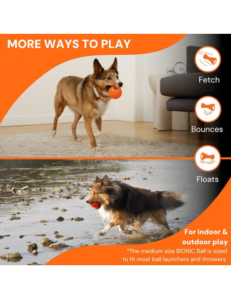 BOLSA BIONIC Grande para Perros - Juguete Interactivo Duradero