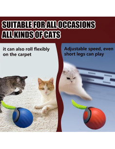 Juguete Interactivo para Gatos Huopurther Bola Azul/Naranja 2