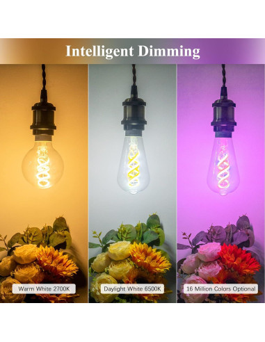 Bombilla Inteligente DiCUNO ST64 E26 50W Regulable 2 Pzas