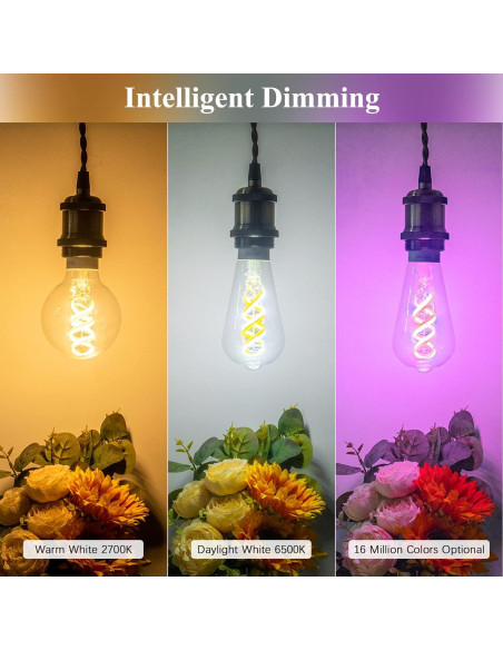 Bombilla Inteligente DiCUNO ST64 E26 50W Regulable 2 Pzas