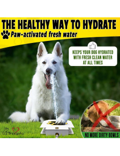 Fuente de Agua para Perros Trio Gato, Activada por Patas 2