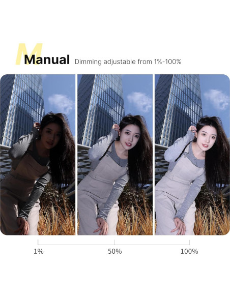 Flash Ulanzi LM20 Speedlite GN12 CCT 5600K para cámaras