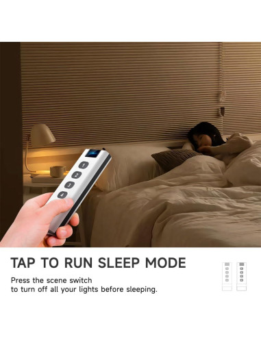 Control Remoto de Escena ZigBee IHSENO - Interruptor Inteligente