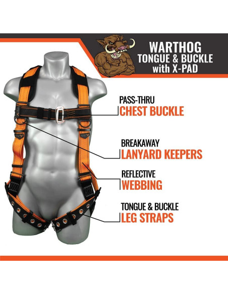 Arnés de Seguridad Malta Dynamics B2006-X, Cuerpo Completo