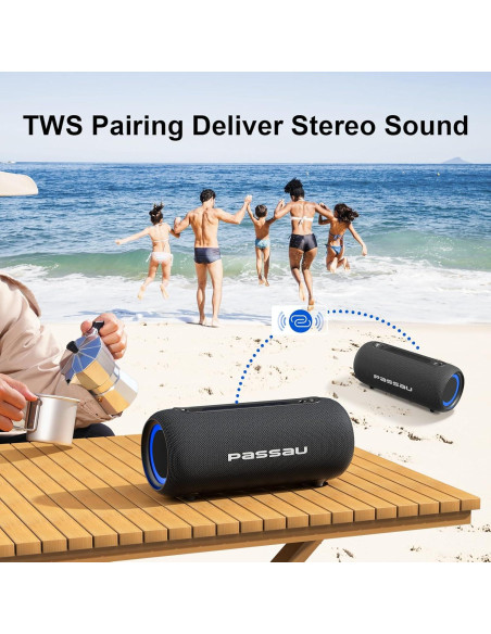 Altavoz Bluetooth Portátil Passau S223B 40W Estéreo IPX5