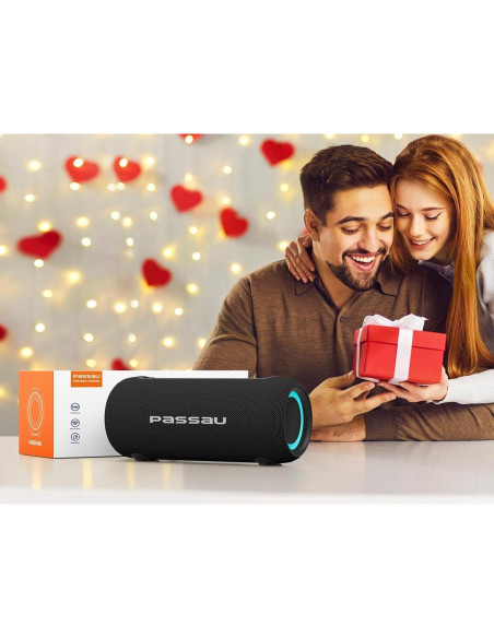 Altavoz Bluetooth Portátil Passau S223B 40W Estéreo IPX5