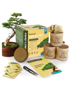 Kit de Bonsai Planters' Choice - Cultiva 4 Especies en Casa