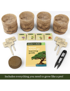 Kit de Bonsai Planters' Choice - Cultiva 4 Especies en Casa 2