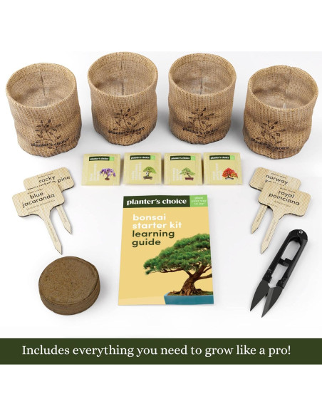 Kit de Bonsai Planters' Choice - Cultiva 4 Especies en Casa