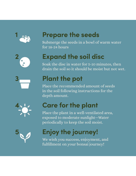 Kit de Bonsai Planters' Choice - Cultiva 4 Especies en Casa