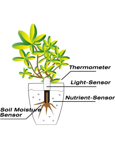 Medidor de Humedad 4 en 1 Sinbeda para Plantas - Bluetooth