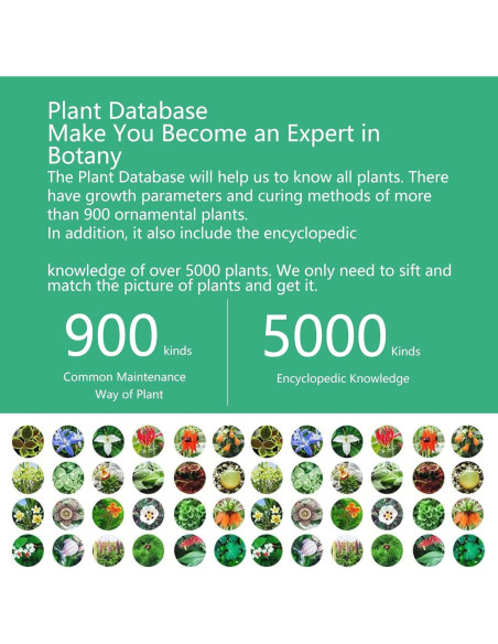 Medidor de Humedad 4 en 1 Sinbeda para Plantas - Bluetooth