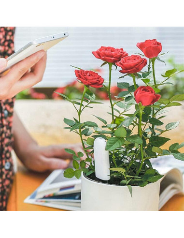 Medidor de Humedad 4 en 1 Sinbeda para Plantas - Bluetooth