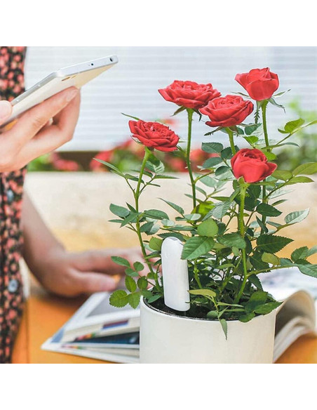 Medidor de Humedad 4 en 1 Sinbeda para Plantas - Bluetooth