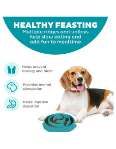 Cuenco para Perros Outward Hound Fun Feeder Mediano Turquesa 2