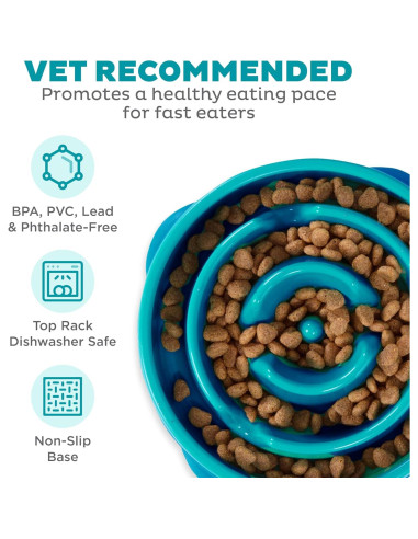 Cuenco para Perros Outward Hound Fun Feeder Mediano Turquesa