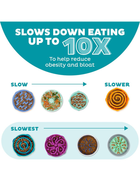 Cuenco para Perros Outward Hound Fun Feeder Mediano Turquesa