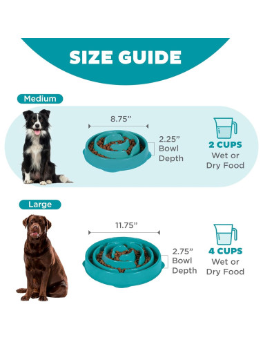 Cuenco para Perros Outward Hound Fun Feeder Mediano Turquesa