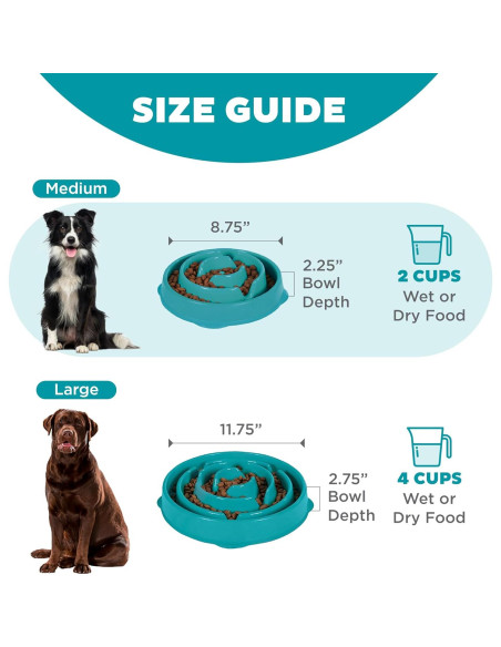 Cuenco para Perros Outward Hound Fun Feeder Mediano Turquesa