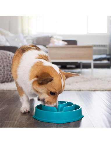 Cuenco para Perros Outward Hound Fun Feeder Mediano Turquesa