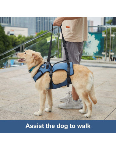 Arnés de Elevación para Perros Hanfu XL Azul Rehabilitación