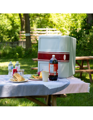 Enfriador Portátil Koolatron P95 42L 12V - Calienta y Enfría