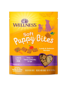 Galletas para Cachorros Wellness Cordero y Salmón 85g Sin Granos