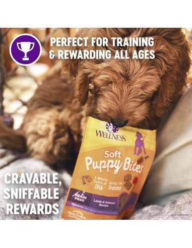 Galletas para Cachorros Wellness Cordero y Salmón 85g Sin Granos
