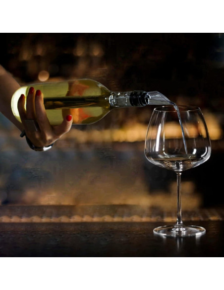 Stick Enfriador de Vino 3 en 1 Acero Inoxidable TD66084