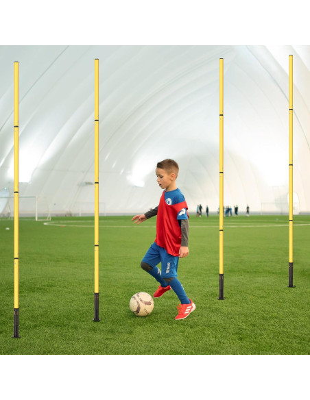 Equipo de Agilidad SMTPDT: 6 Postes, Escalera 6,10m, 10 Conos