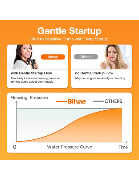 Limpiador Dental Bitvae C2 Inalámbrico 3 Modos IPX7 - Negro