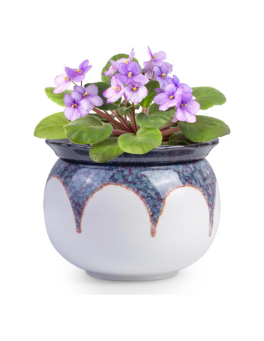 Maceta de Autorriego BUYMAX 15 cm Cerámica Violeta Africana
