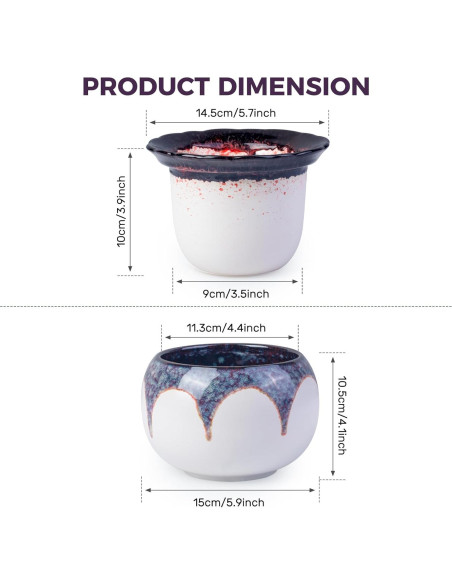 Maceta de Autorriego BUYMAX 15 cm Cerámica Violeta Africana