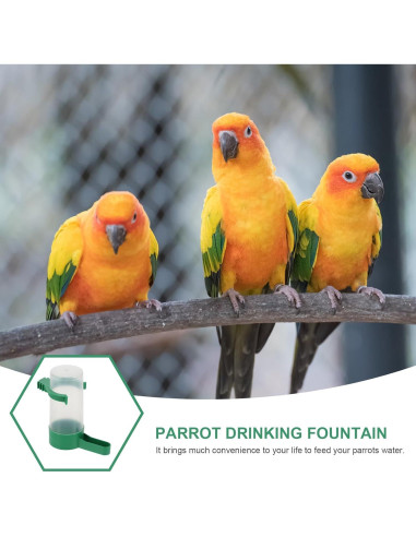 Dispensador Automático de Agua para Aves NUOBESTY 10 Piezas