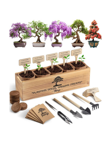 Kit de Árbol Bonsai AVERGO - 5 Árboles para Cultivar