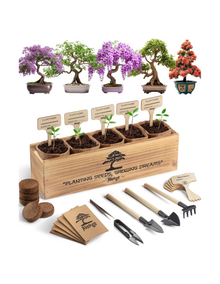 Kit de Árbol Bonsai AVERGO - 5 Árboles para Cultivar