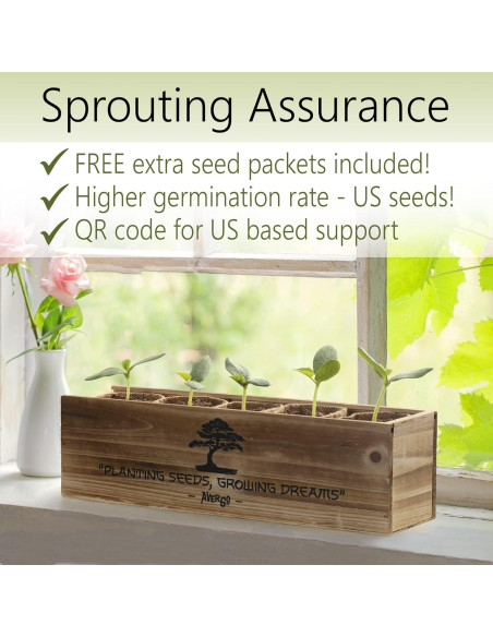 Kit de Árbol Bonsai AVERGO - 5 Árboles para Cultivar