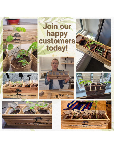 Kit de Árbol Bonsai AVERGO - 5 Árboles para Cultivar